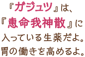 『ガジュツ』は、『恵命我神散』に入っている生薬だよ。胃の働きを高めるよ。