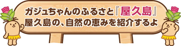 ガジュちゃんのふるさと『屋久島』　屋久島の、自然の恵みを紹介するよ