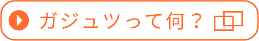 ガジュツって何？