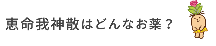 恵命我神散はどんなお薬？